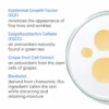 Rejuvenating 1 PCA Skin Rejuvenating Serum
